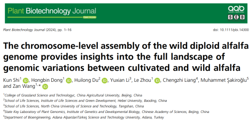 The chromosome-level assembly of the wild diploid alfalfa genome provides insights into the full landscape of genomic variations between cultivated and wild alfalfa