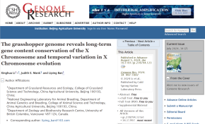 Grasshopper genome reveals long-term gene content conservation of the X chromosome and temporal variation in X chromosome evolution